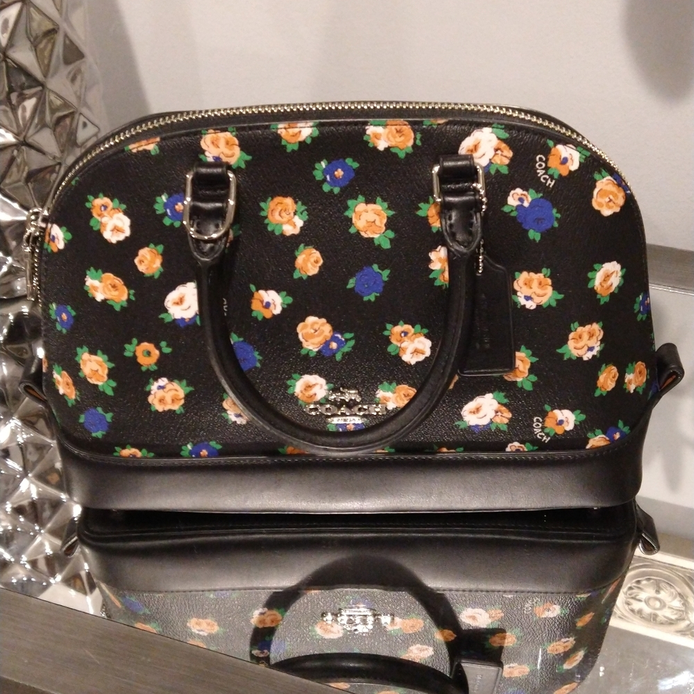 Coach Crossbody Bag - Picture 1 of 5